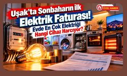 Uşak’ta Sonbaharın İlk Elektrik Faturası! Evde En Çok Elektriği Hangi Cihaz Harcıyor?