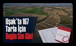 Uşak’ta Tarla Sahipleri,167 Parsel İçin Bugün Son Gün