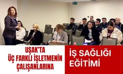 Uşak’ta Üç Farklı İşletmenin Çalışanlarına İş Sağlığı Eğitimi