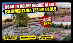 Uşak’ın Bölme Mesire Alanı Bakımsızlığa Teslim Oldu! Vatandaşlardan Belediyeye Tepki
