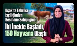 Uşak’ta Fabrika İşçiliğinden Besihane Sahipliğine! İki İnekle Başladı, 150 Hayvana Ulaştı