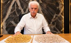 Denizli’de Geliştirilen Nohut İlk Kez Leblebiye Dönüştü