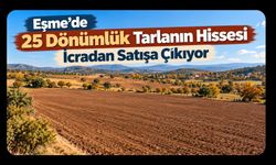 Eşme’de 25 Dönümlük Tarlanın Hissesi İcradan Satışa Çıkıyor