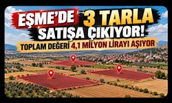Eşme’de 3 Tarla Satışa Çıkıyor! Toplam Değeri 4,1 Milyon Lirayı Aşıyor