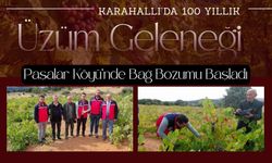 Karahallı’da 100 Yıllık Üzüm Geleneği, Paşalar Köyü’nde Bağ Bozumu Başladı