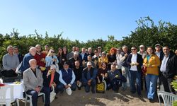 Satsuma Mandalinasında İhracat Başladı! Rekoltede Yüzde 20 Artış Bekleniyor