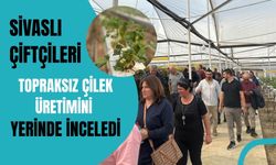 Sivaslı Çiftçileri Topraksız Çilek Üretimini Yerinde İnceledi