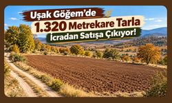 Uşak Göğem'de 1.320 Metrekare Tarla İcradan Satışa Çıkıyor!