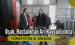 Uşak, Hastalıktan Ari Hayvancılıkta Türkiye’de 8. Sırada