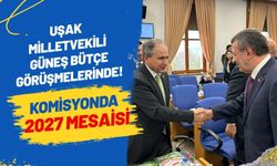 Uşak Milletvekili Güneş Bütçe Görüşmelerinde! Komisyonda 2027 Mesaisi