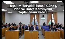 Uşak Milletvekili İsmail Güneş, Plan ve Bütçe Komisyonu Toplantısına Katıldı