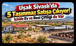 Uşak Sivaslı’da 5 Taşınmaz Satışa Çıkıyor! İçinde Ev ve Besi Çiftliği de Var
