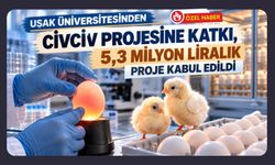 Uşak Üniversitesinden Civciv Projesine Katkı, 5,3 Milyon Liralık Proje Kabul Edildi