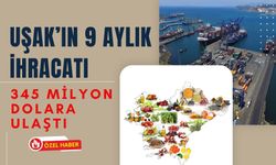Uşak’ın 9 Aylık İhracatı 345 Milyon Dolara Ulaştı