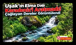 Uşak’ın Elma Dağı Karadeniz’i Aratmadı! Çağlayan Dereler Görüntülendi