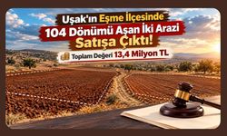 Uşak'ın Eşme İlçesinde 104 Dönümü Aşan İki Arazi Satışa Çıktı! Toplam Değeri 13,4 Milyon TL