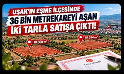 Uşak'ın Eşme İlçesinde 36 Bin Metrekareyi Aşan İki Tarla Satışa Çıktı!