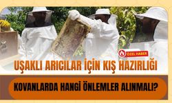 Uşaklı Arıcılar İçin Kış Hazırlığı: Kovanlarda Hangi Önlemler Alınmalı?