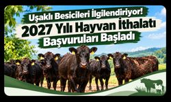 Uşaklı Besicileri İlgilendiriyor! 2027 Yılı Hayvan İthalatı Başvuruları Başladı