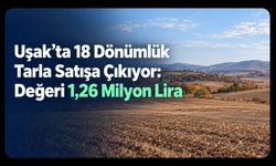 Uşak’ta 18 Dönümlük Tarla Satışa Çıkıyor: Değeri 1,26 Milyon Lira
