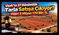 Uşak’ta 27 Dönümlük Tarla Satışa Çıkıyor! Değeri 5 Milyon 174 Bin TL