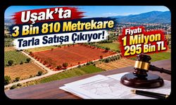 Uşak’ta 3 Bin 810 Metrekare Tarla Satışa Çıkıyor! Fiyatı 1 Milyon 295 Bin TL