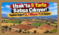Uşak’ta 5 Tarla Satışa Çıkıyor! Toplam Değeri 13,7 Milyon TL’yi Aşıyor