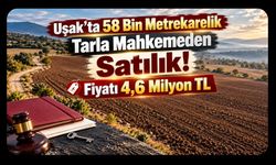 Uşak'ta 58 Bin Metrekarelik Tarla Mahkemeden Satılık! Fiyatı 4,6 Milyon TL