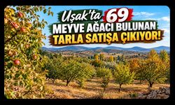 Uşak'ta 69 Meyve Ağacı Bulunan Tarla Satışa Çıkıyor!