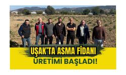 Uşak’ta Asma Fidanı Üretimi Başladı! 230 Dekarlık Alanda Teknik Kontrol