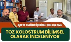 Uşak’ta Buzağılar İçin Dikkat Çeken Çalışma! Toz Kolostrum Bilimsel Olarak İnceleniyor