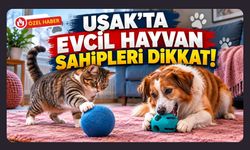 Uşak’ta Evcil Hayvan Sahipleri Dikkat! Soğuk Günlerde Oyun İhtiyacı Bitmiyor