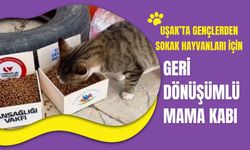 Uşak’ta Gençlerden Sokak Hayvanları İçin Geri Dönüşümlü Mama Kabı