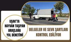 Uşak’ta Hayvan Taşıyan Araçlara Yol Denetimi, Belgeler ve Sevk Şartları Kontrol Ediliyor