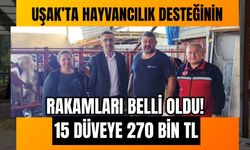 Uşak’ta Hayvancılık Desteğinin Rakamları Belli Oldu! 15 Düveye 270 Bin TL
