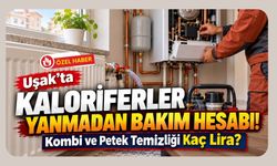 Uşak’ta Kaloriferler Yanmadan Bakım Hesabı! Kombi ve Petek Temizliği Kaç Lira?