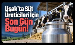 Uşak’ta Süt Üreticileri İçin Son Gün Bugün, Destek Listelerini Kontrol Edin