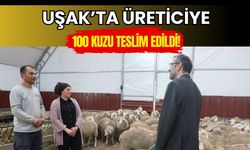 Uşak’ta Üreticiye 100 Kuzu Teslim Edildi! Üç Ayda Bir 45 Bin TL Yem Desteği