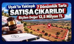 Uşak’ta Yaklaşık 7 Dönümlük Tarla Satışa Çıkarıldı! Biçilen Değer 12,5 Milyon TL