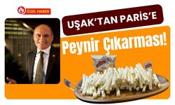 Uşak’tan Paris’e Peynir Çıkarması! Muratbey Yeni Pazarlar İçin Sahaya Çıktı