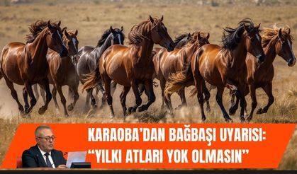 Karaoba’dan Bağbaşı Uyarısı: “Yılkı Atları Yok Olmasın”