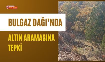 Bulgaz Dağı’nda Altın Aramasına Tepki