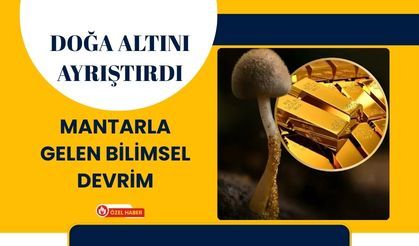 Doğa Altını Ayrıştırdı: Mantarla Gelen Bilimsel Devrim
