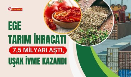 Ege Tarım İhracatı 7,5 Milyarı Aştı, Uşak İvme Kazandı