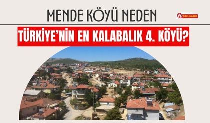 Mende Köyü Neden Türkiye’nin En Kalabalık 4. Köyü?