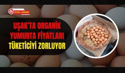 Uşak’ta Organik Yumurta Fiyatları Tüketiciyi Zorluyor