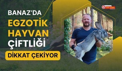 Banaz’da Egzotik Hayvan Çiftliği Dikkat Çekiyor