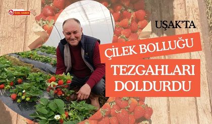 Uşak’ta Çilek Bolluğu Tezgahları Doldurdu