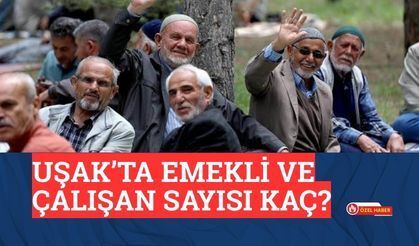 Uşak’ta Emekli ve Çalışan Sayısı Kaç?