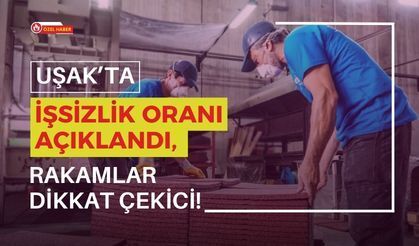 Uşak’ta İşsizlik Oranı Açıklandı, Rakamlar Dikkat Çekici!